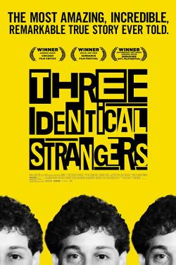 دانلود فیلم Three Identical Strangers 2018 دانلود فیلم Three Identical Strangers 2018