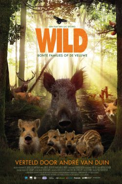 دانلود فیلم Wild 2018 دانلود فیلم Wild 2018