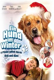 دانلود فیلم Christmas with Tucker 2013 دانلود فیلم Christmas with Tucker 2013