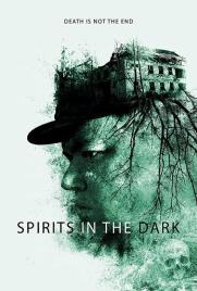 دانلود فیلم Spirits in the Dark 2019 دانلود فیلم Spirits in the Dark 2019