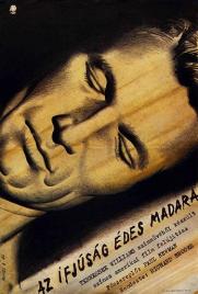 دانلود فیلم Sweet Bird of Youth 1962 دانلود فیلم Sweet Bird of Youth 1962