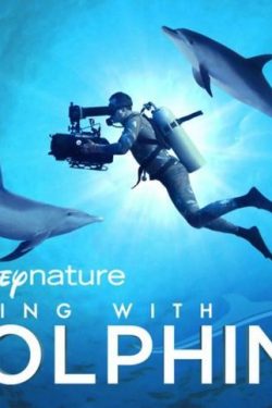 دانلود فیلم Diving with Dolphins 2020 دانلود فیلم Diving with Dolphins 2020