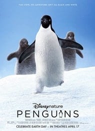 دانلود فیلم Penguins 2019 دانلود فیلم Penguins 2019