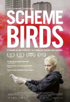 دانلود فیلم Scheme Birds 2019 دانلود فیلم Scheme Birds 2019