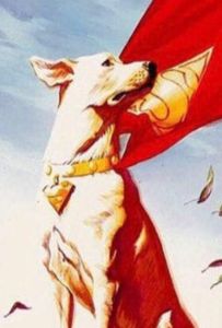 دانلود فیلم Dog 2021 دانلود فیلم Dog 2021