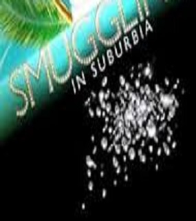 دانلود فیلم Smuggling in Suburbia 2019 دانلود فیلم Smuggling in Suburbia 2019