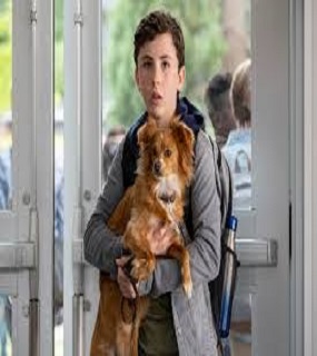 دانلود فیلم The Power of the Dog 2021 دانلود فیلم The Power of the Dog 2021