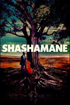 دانلود فیلم Shashamane 2016 دانلود فیلم Shashamane 2016