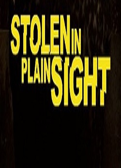 دانلود فیلم Stolen in Plain Sight 2020 دانلود فیلم Stolen in Plain Sight 2020