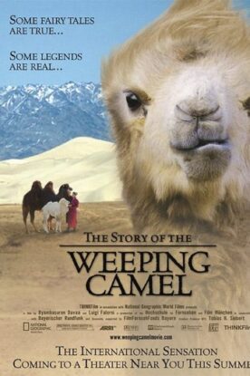 دانلود فیلم The Story of the Weeping Camel 2003 دانلود فیلم The Story of the Weeping Camel 2003