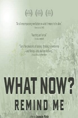 دانلود فیلم What Now Remind Me 2013 دانلود فیلم What Now Remind Me 2013