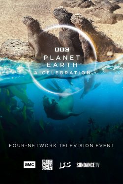 دانلود فیلم Planet Earth: A Celebration 2020 دانلود فیلم Planet Earth: A Celebration 2020