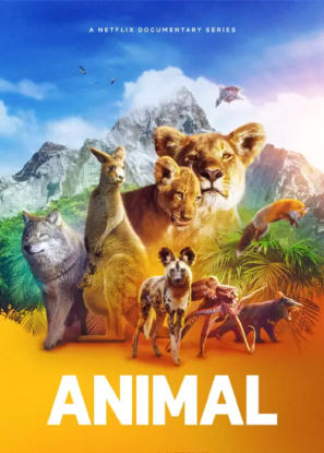 دانلود مستند حیوان Animal 2021 دانلود مستند حیوان Animal 2021