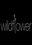 دانلود فیلم گل وحشی Wildflower 2023 دانلود فیلم گل وحشی Wildflower 2023